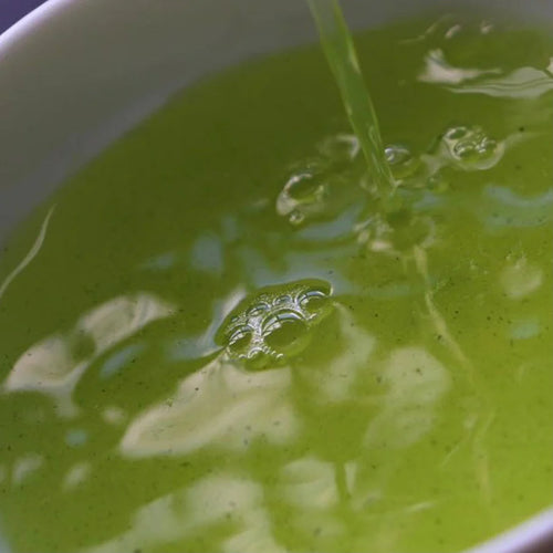 Nagatani Tea: Premium Gyokuro Gokou – Single Cultivar from Uji, Kyoto